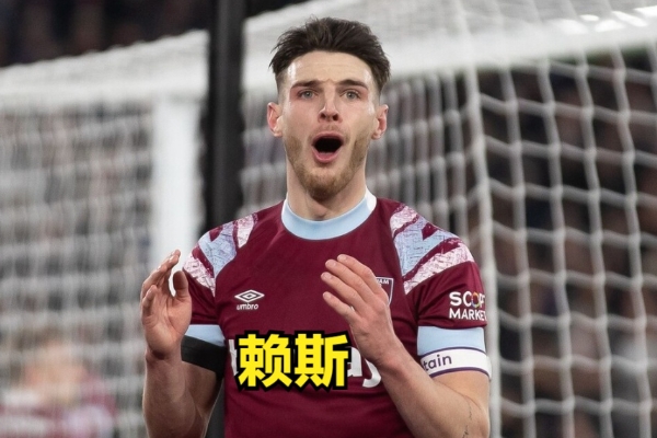 賴斯屬于什么是類型的后腰？